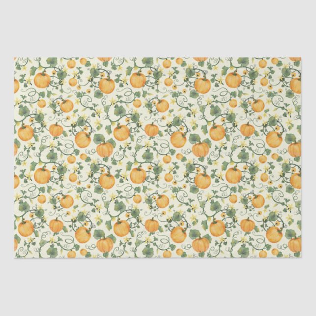 Papier Mousseline Vins citrouilles (Cornsilk) - Papier Tissu (Recto)