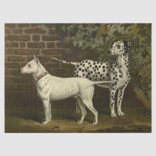 Papier Mousseline Vintage Bull Terrier et Dalmatie
