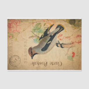 Papier Mousseline Vintage cire Bird Floral Carte française Postale
