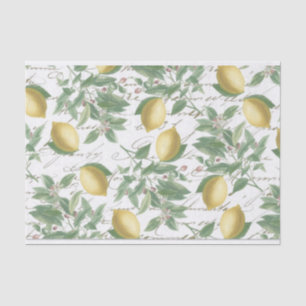 Papier Mousseline Vintage Faded Lemon Branch French Script Fruit