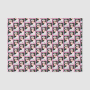 Papier Mousseline Vintage Mariage de dentelle blanche Floral sur ros