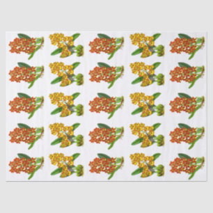 Papier Mousseline Vintage Orange Jaune Exotique Orchidée Fleur