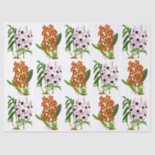 Papier Mousseline Vintage violet blanc orange exotique orchidée