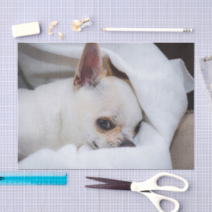 Papier Mousseline Votre chiot chien de compagnie photo personnalisée