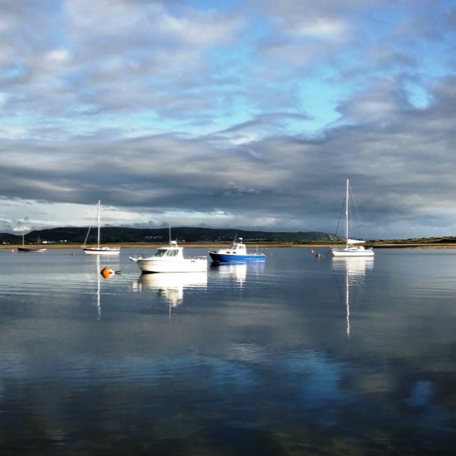 PAPIER MOUSSELINE WALES (Créateur téléchargé)