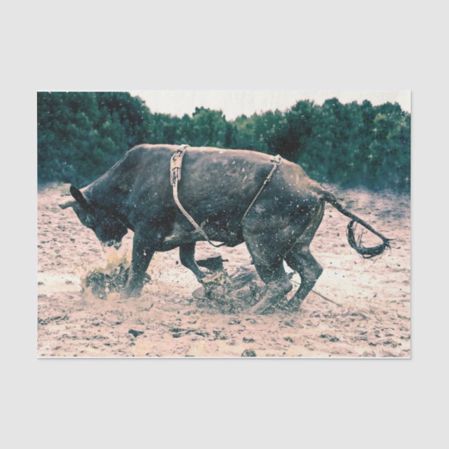 Papier Mousseline Western Rodeo Black Bull Country Cowboy Russe (Recto)