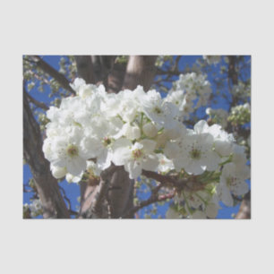 Papier Mousseline White Blossoms II