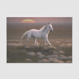 Papier Mousseline White Horse Tissue Paper