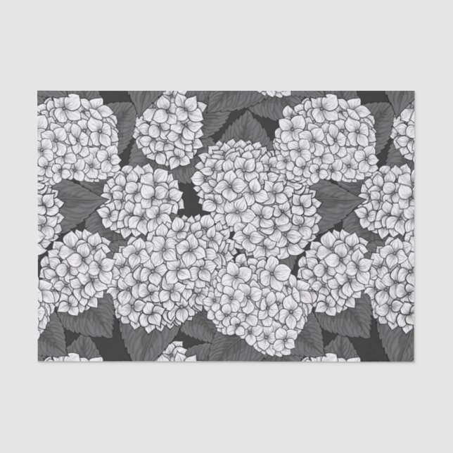 Papier Mousseline White hydrangea (Recto)
