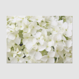 Papier Mousseline White Hydrangea Summer Party