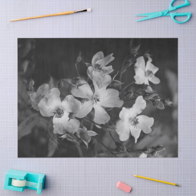 Papier Mousseline Wild roses  (Artisanat)