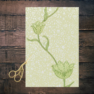 Papier Mousseline William Morris Vintage Green Garden Tulip