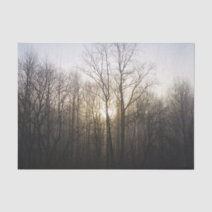 Papier Mousseline Winter Fog Sunrise Nature Photographie