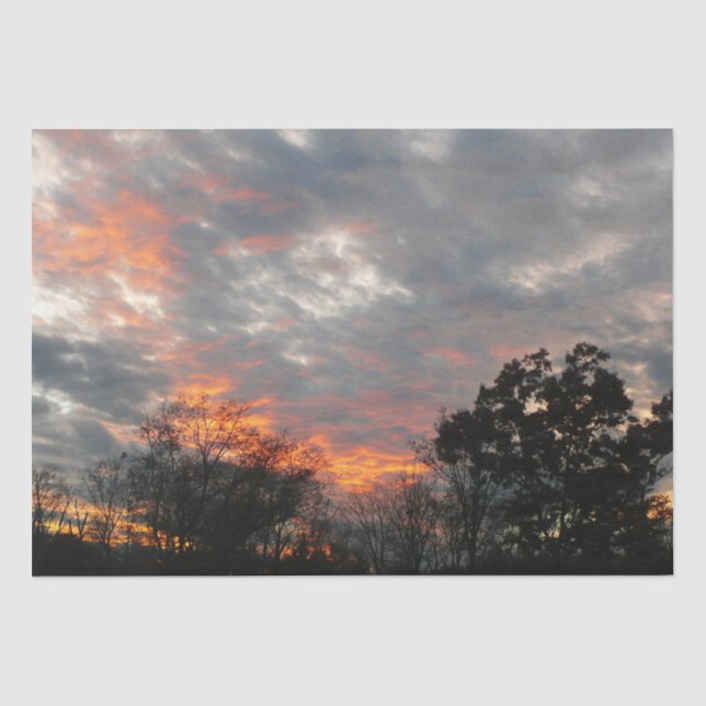 Papier Mousseline Winter Sunset Nature Paysage Photographie (Recto)