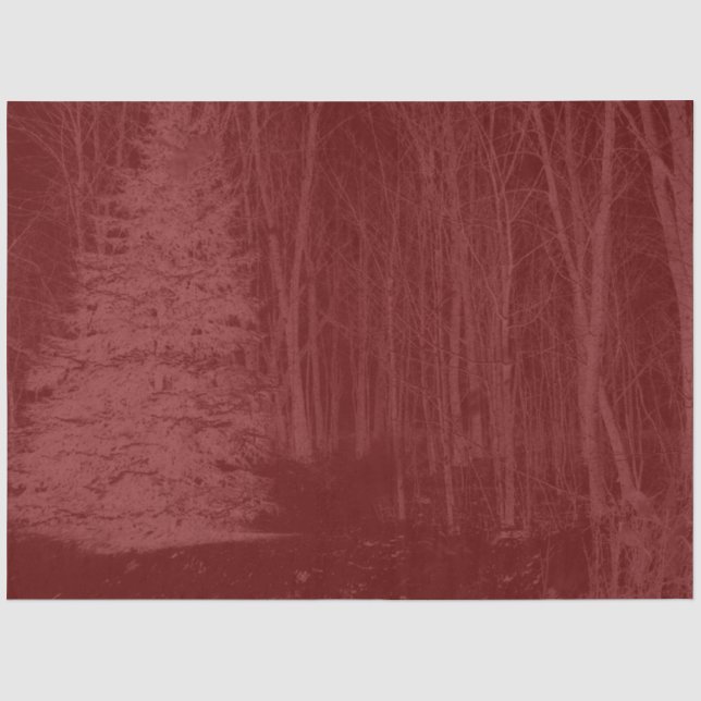 Papier Mousseline Winter Wonderland Trees Tissue Paper (Recto)