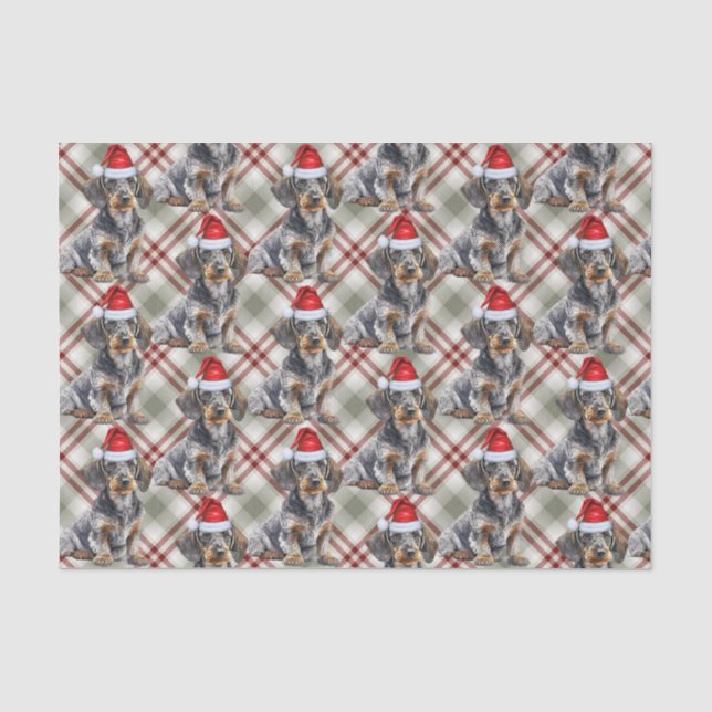 Papier Mousseline Wire Haired Dachshund Santa Dog Plaid Christmas (Recto)