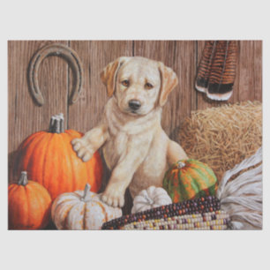 Papier Mousseline Yellow Labrador Retriever Chien Chien Chien Citrou