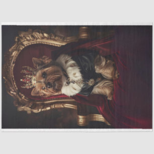 Papier Mousseline Yorkie Red Kings Chaise Dark Arrière - plan Découp