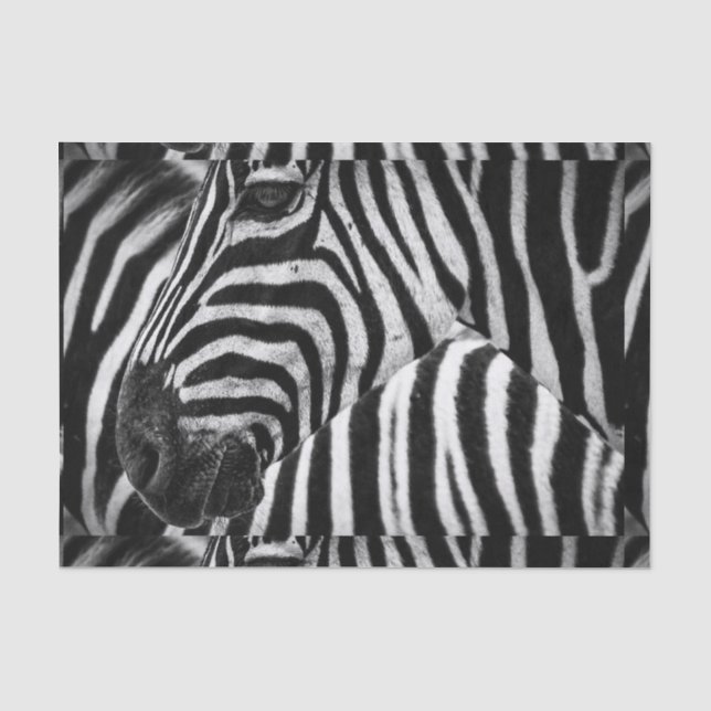 Papier Mousseline Zèbre noir et blanc génial (Recto)