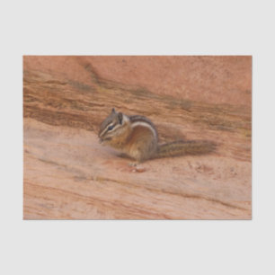 Papier Mousseline Zion Chipmunk sur Red Rocks