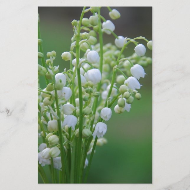 Papier Muguet (Devant)