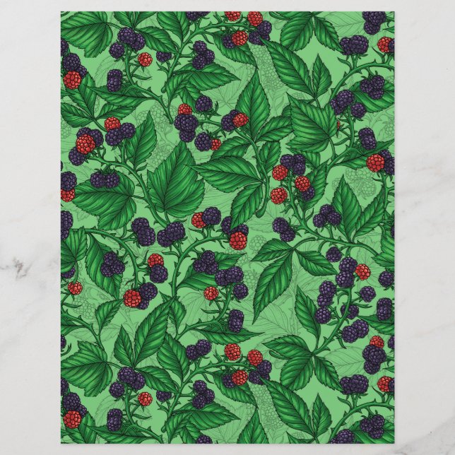 Papier Mûres sur fond vert (Devant)