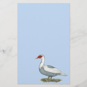 Papier Muscovy Blue pied Duck