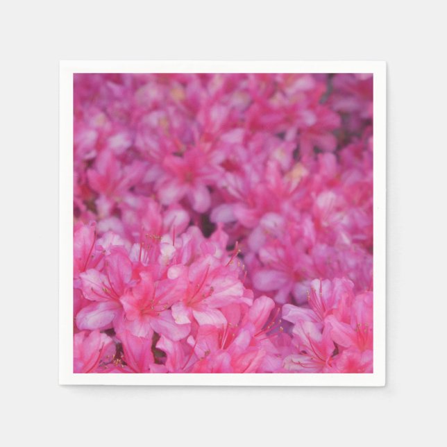 Papier Napkin mit Azaleas Serviette (Vorderseite)