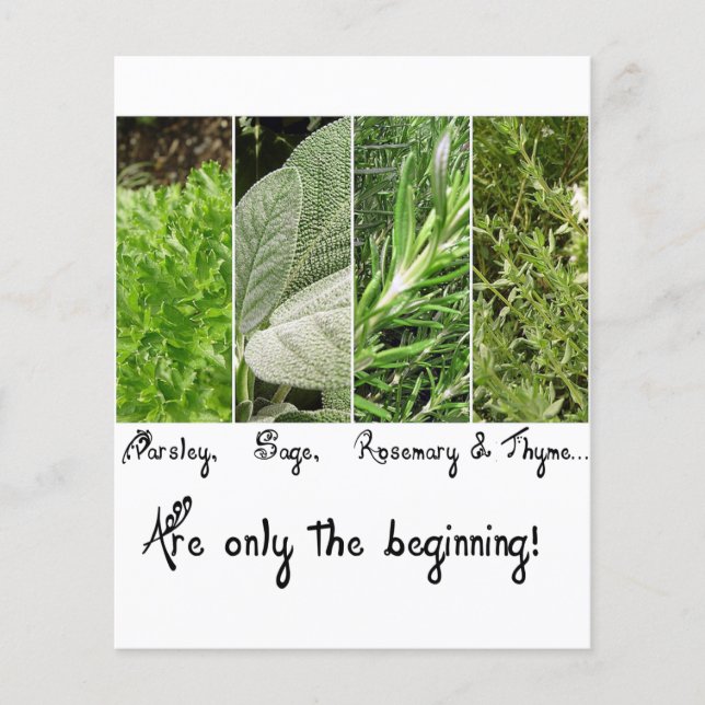 Papier non défini (Devant)