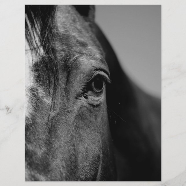 Papier OEuvre d'oeil noir blanc (Devant)