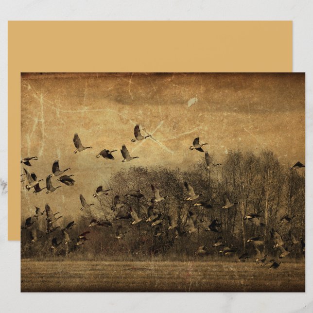 Papier Oies Vintage Sepia Wildlife Texture (Devant / Derrière)