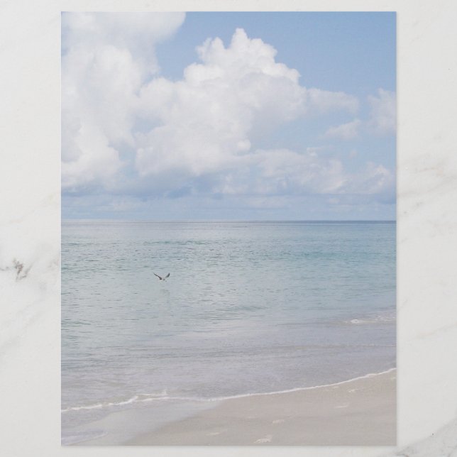 Papier Oiseau sur la plage à l'arrêt (Devant)