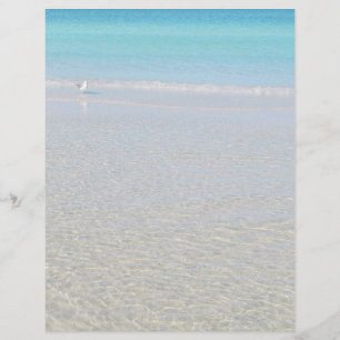 Papier Oiseau sur la plage à l'arrêt