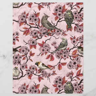 Papier Oiseaux et fleurs de cerisier sur fond rose