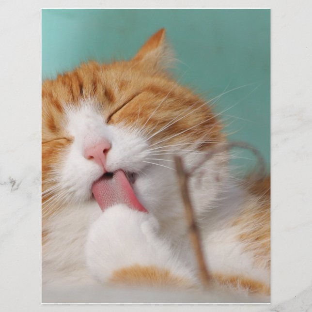 Papier Orange Kitty Licks (Devant)