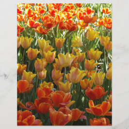 Papier Orange-&-Yelow-Tulips.jpg