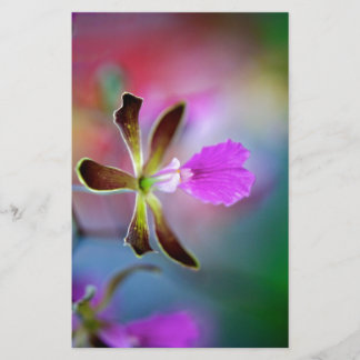 Papier Orchidée violette