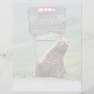 Papier Ours Grizzly Joue Avec Un Panneau
