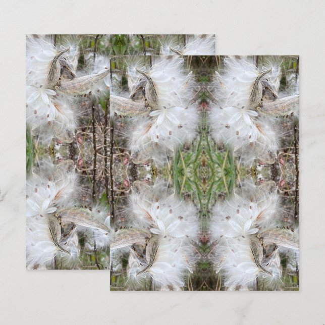 Papier Ouvrir les pots d'algues | Graines avec soie | Scr (Devant / Derrière)