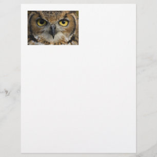 Papier Owl Eyes