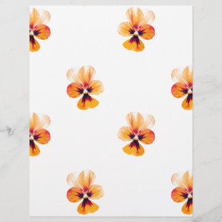 Papier panneaux orange