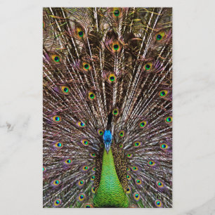 Papier Paon