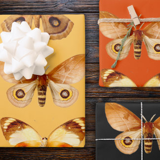 Papier Papier Papier Papier Papier Papier Papier P