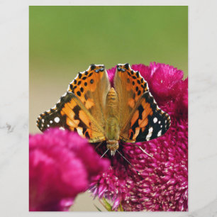 Papier Papillon de la Dame peinte