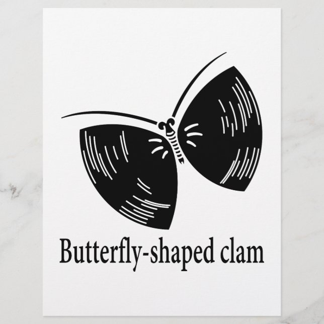 Papier papillon palourde (Devant)