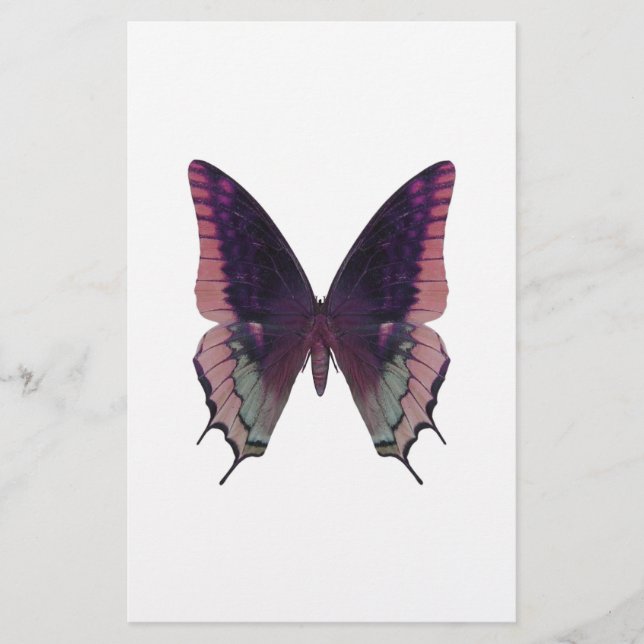 Papier Papillon rose détaillé (Devant)