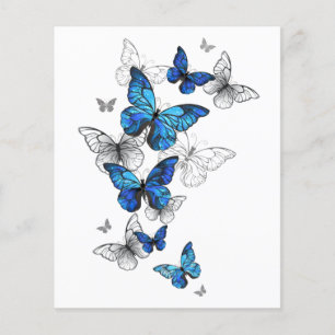 Papier Papillons volants bleus Morpho