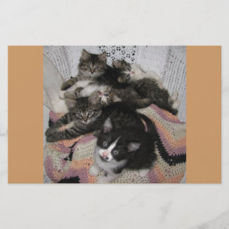 Papier Part chaise Kitties