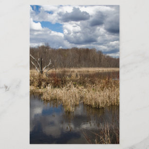 Papier Paysage de zones humides