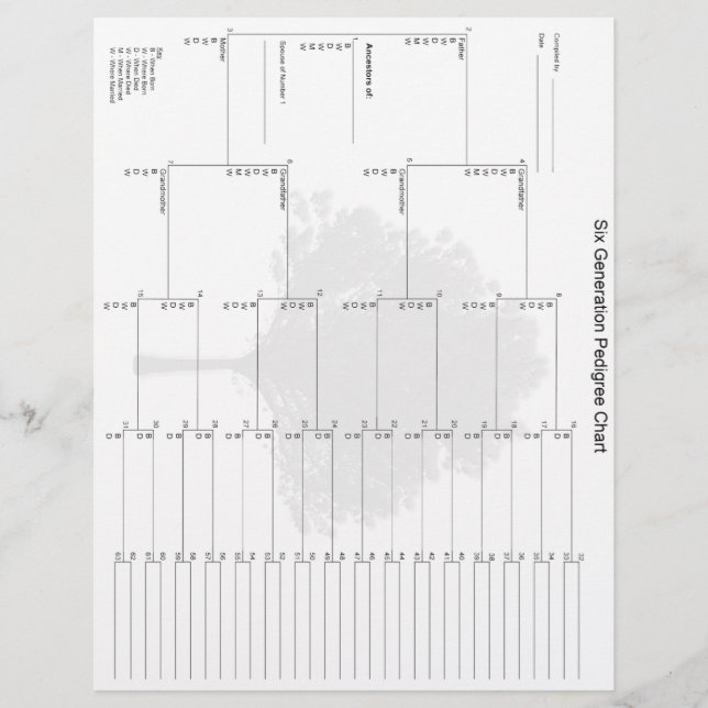 Papier Pedigree de six générations (Devant)